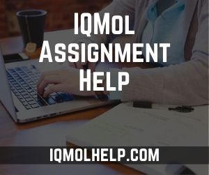 IQMol Assignment Help